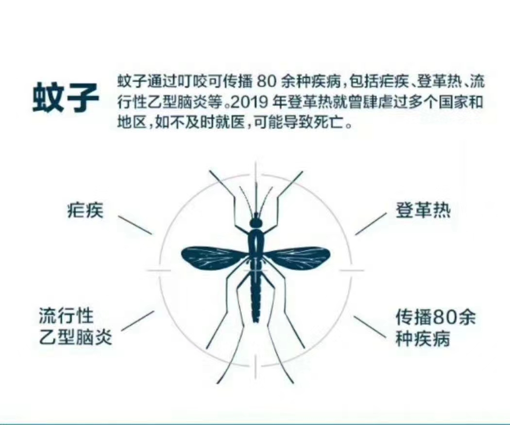 蚊子治理