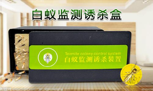 白蟻檢測